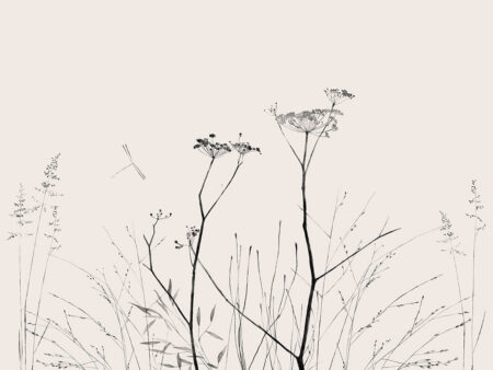 Фотошпалери з ніжними мінімалістичними квітами у чорному кольорі