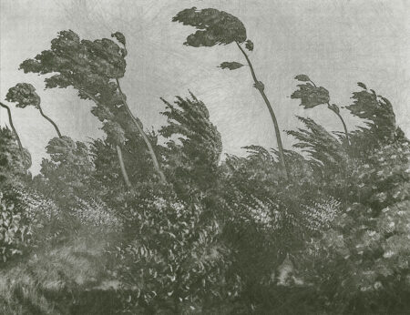 Фотошпалери з вінтажною гравюрою вітряного лісу