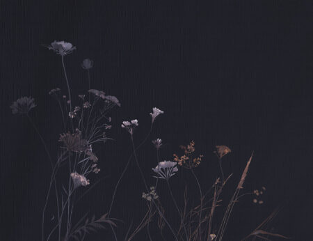Фотошпалери з ніжними польовими квітами на темному фоні